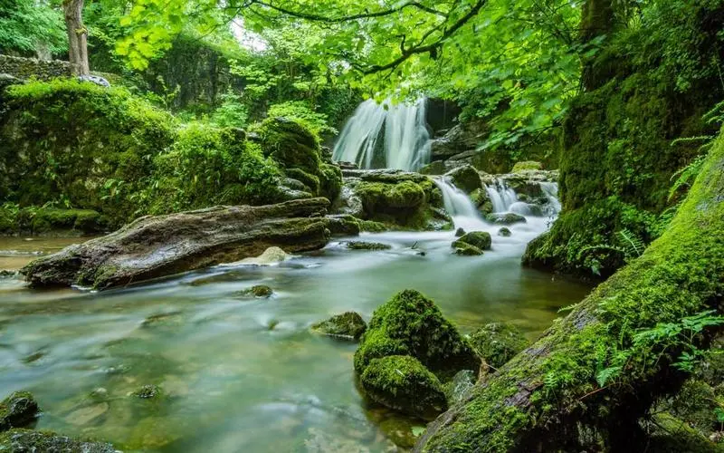 稳定性可靠性
